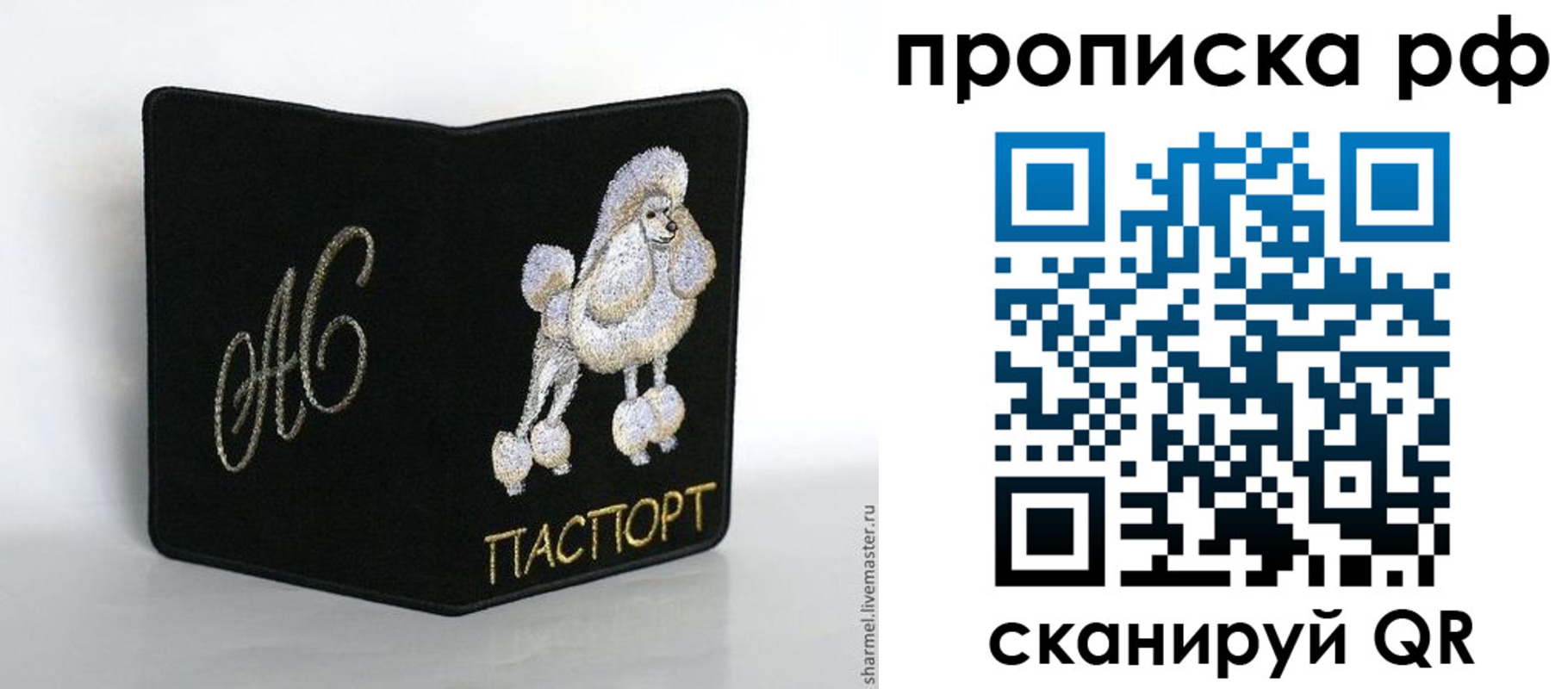 прописка поиск в Великих Луках